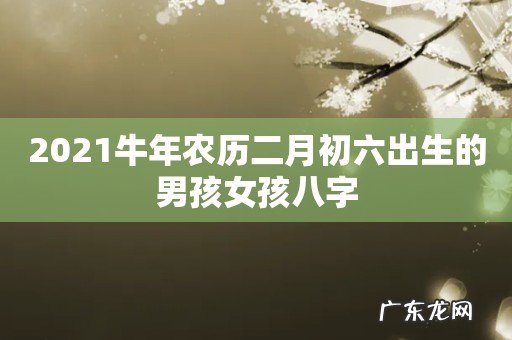2021牛年农历二月初六出生的男孩女孩八字