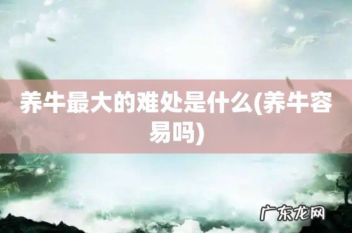 养牛容易吗 养牛最大的难处是什么