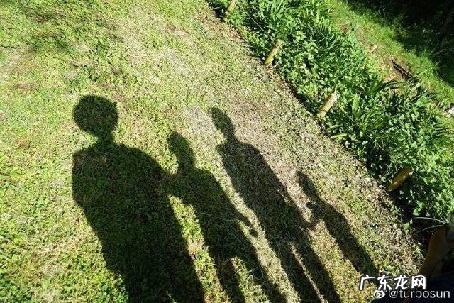 邓超孙俪婚礼哪些明星参加了 邓超孙俪婚礼嘉宾