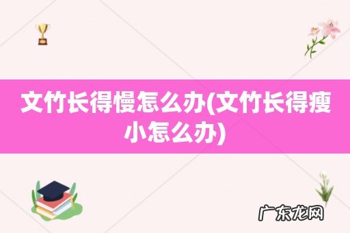 文竹长得瘦小怎么办 文竹长得慢怎么办