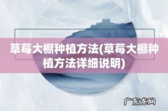 草莓大棚种植方法详细说明 草莓大棚种植方法