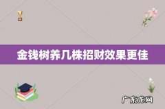 金钱树养几株招财效果更佳