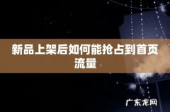 新品上架后如何能抢占到首页流量