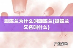 蝴蝶兰又名叫什么 蝴蝶兰为什么叫蝴蝶兰