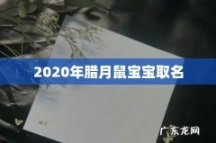2020年腊月鼠宝宝取名