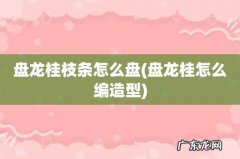 盘龙桂怎么编造型 盘龙桂枝条怎么盘