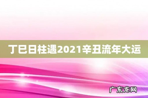 丁巳日柱遇2021辛丑流年大运