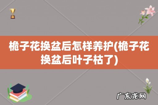 桅子花换盆后叶子枯了 桅子花换盆后怎样养护