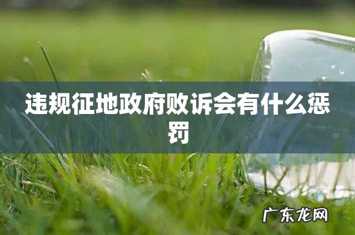 违规征地政府败诉会有什么惩罚