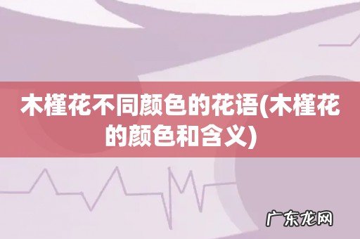 木槿花的颜色和含义 木槿花不同颜色的花语