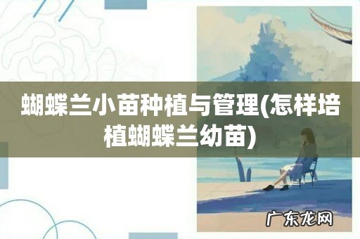 怎样培植蝴蝶兰幼苗 蝴蝶兰小苗种植与管理