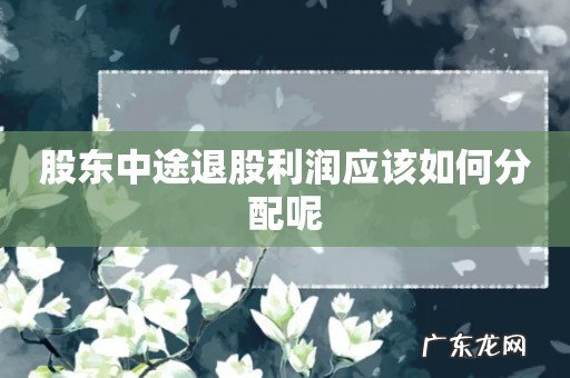 股东中途退股利润应该如何分配呢