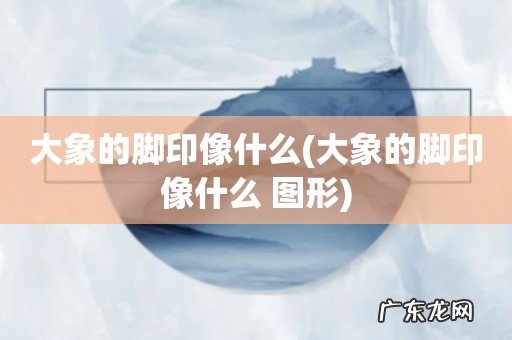 大象的脚印像什么 图形 大象的脚印像什么