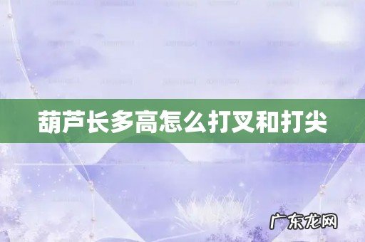 葫芦长多高怎么打叉和打尖