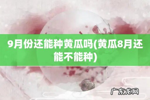 黄瓜8月还能不能种 9月份还能种黄瓜吗