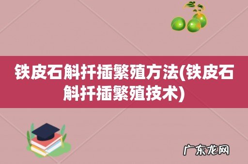 铁皮石斛扦插繁殖技术 铁皮石斛扦插繁殖方法