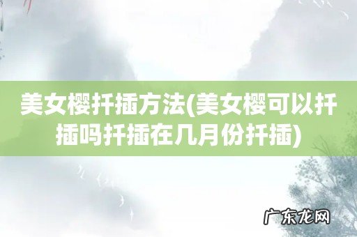 美女樱可以扦插吗扦插在几月份扦插 美女樱扦插方法