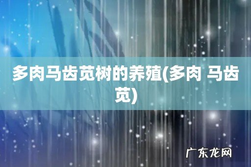 多肉 马齿苋 多肉马齿苋树的养殖