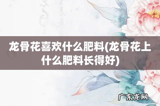 龙骨花上什么肥料长得好 龙骨花喜欢什么肥料