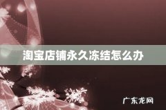 淘宝店铺永久冻结怎么办