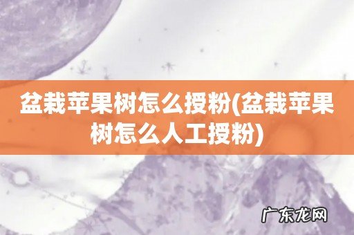 盆栽苹果树怎么人工授粉 盆栽苹果树怎么授粉