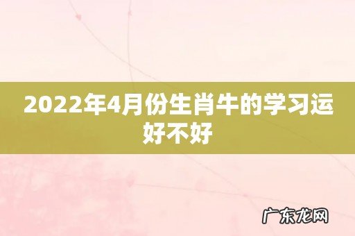 2022年4月份生肖牛的学习运好不好