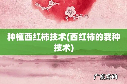 西红柿的栽种技术 种植西红柿技术