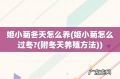 姬小菊怎么过冬?(附冬天养殖方法 姬小菊冬天怎么养)