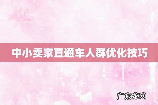 中小卖家直通车人群优化技巧