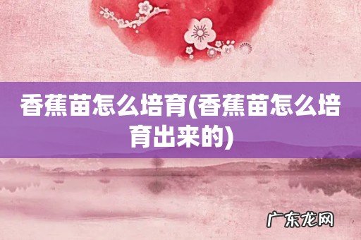 香蕉苗怎么培育出来的 香蕉苗怎么培育