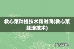 救心菜栽培技术 救心菜种植技术和时间