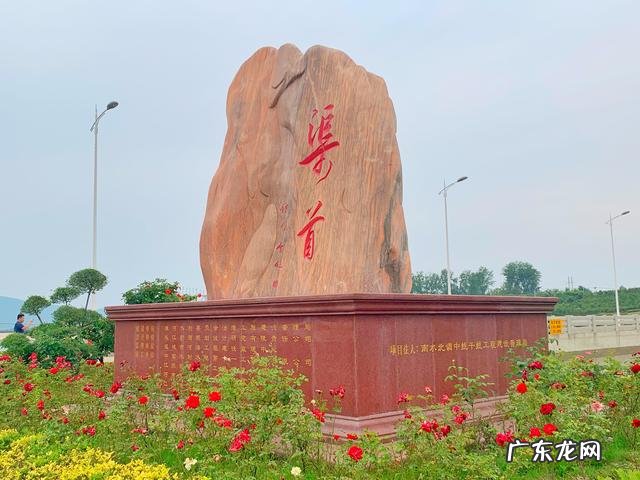 孔雀蛋什么颜色 孔雀蛋是怎么样的