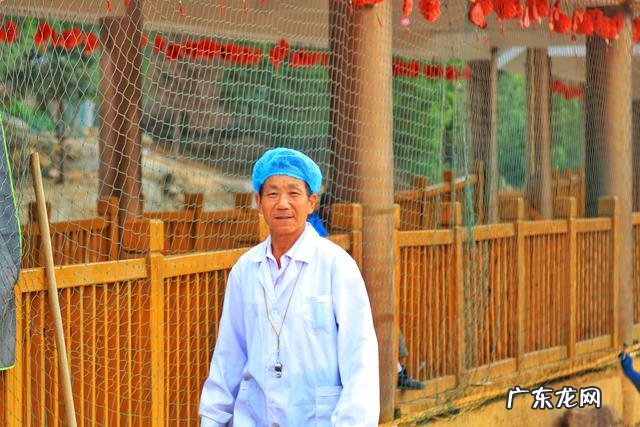 孔雀蛋什么颜色 孔雀蛋是怎么样的