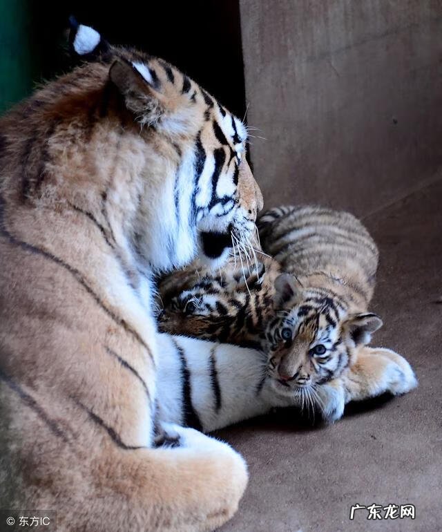 十大风水案例 风水官司案例详解