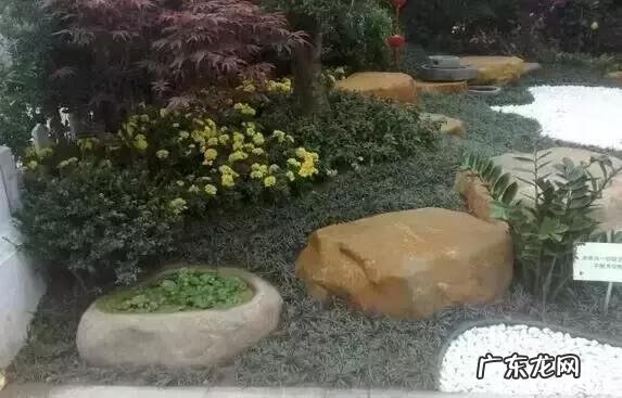 屋后放石头风水 房屋周边有石头的风水