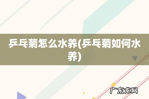 乒乓菊如何水养 乒乓菊怎么水养