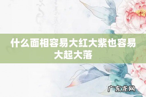 什么面相容易大红大紫也容易大起大落