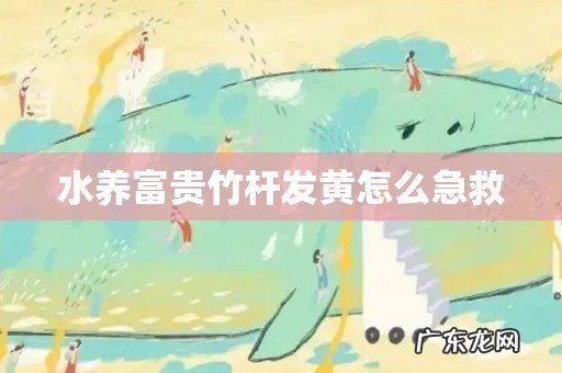 水养富贵竹杆发黄怎么急救
