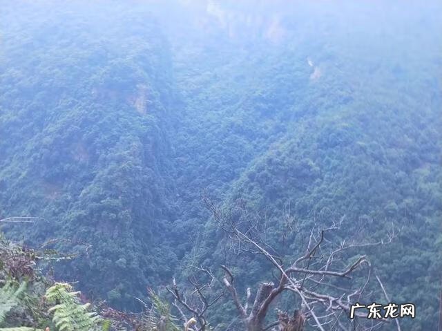 上林有哪些风水宝地 上林哪里有好的风水大师