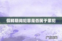假释期间犯罪是否属于累犯