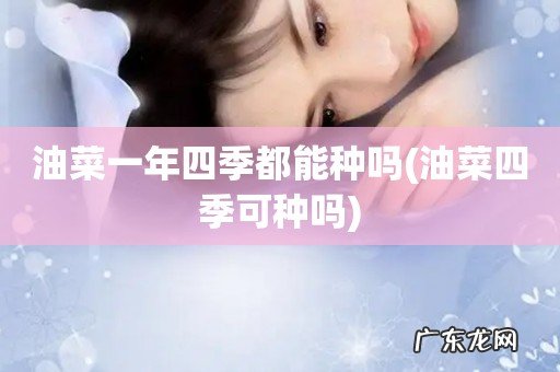 油菜四季可种吗 油菜一年四季都能种吗