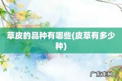 皮草有多少种 草皮的品种有哪些