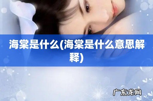 海棠是什么意思解释 海棠是什么