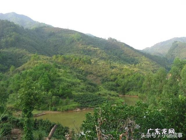 民间风水奇谭作者简介 民间风水奇谭书籍推荐
