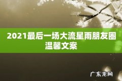 2021最后一场大流星雨朋友圈温馨文案