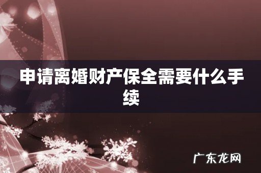 申请离婚财产保全需要什么手续