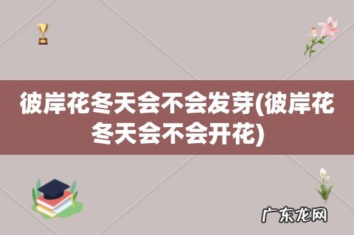 彼岸花冬天会不会开花 彼岸花冬天会不会发芽