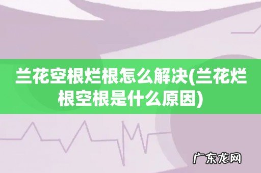 兰花烂根空根是什么原因 兰花空根烂根怎么解决
