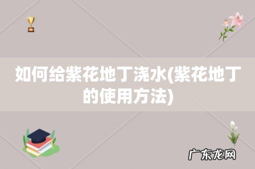 紫花地丁的使用方法 如何给紫花地丁浇水
