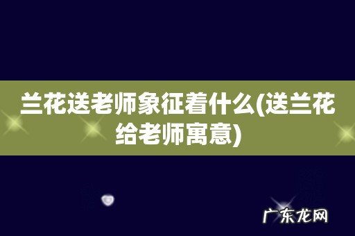 送兰花给老师寓意 兰花送老师象征着什么